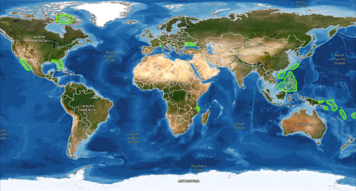 Caladan Oceanic Partners with TCarta and Greenwater Foundation to Provide New Coastal Mapping Data